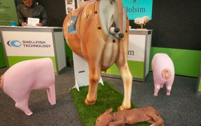 Holsim – Fieldays 2018 Interview