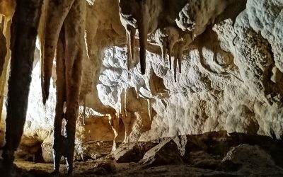 Waitomo Caves is Awesome