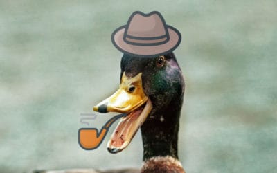 Duck Detective