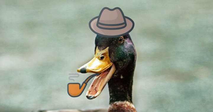 Duck Detective
